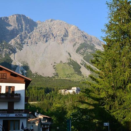 Albergo - B&B Alpina Premadio Esterno foto